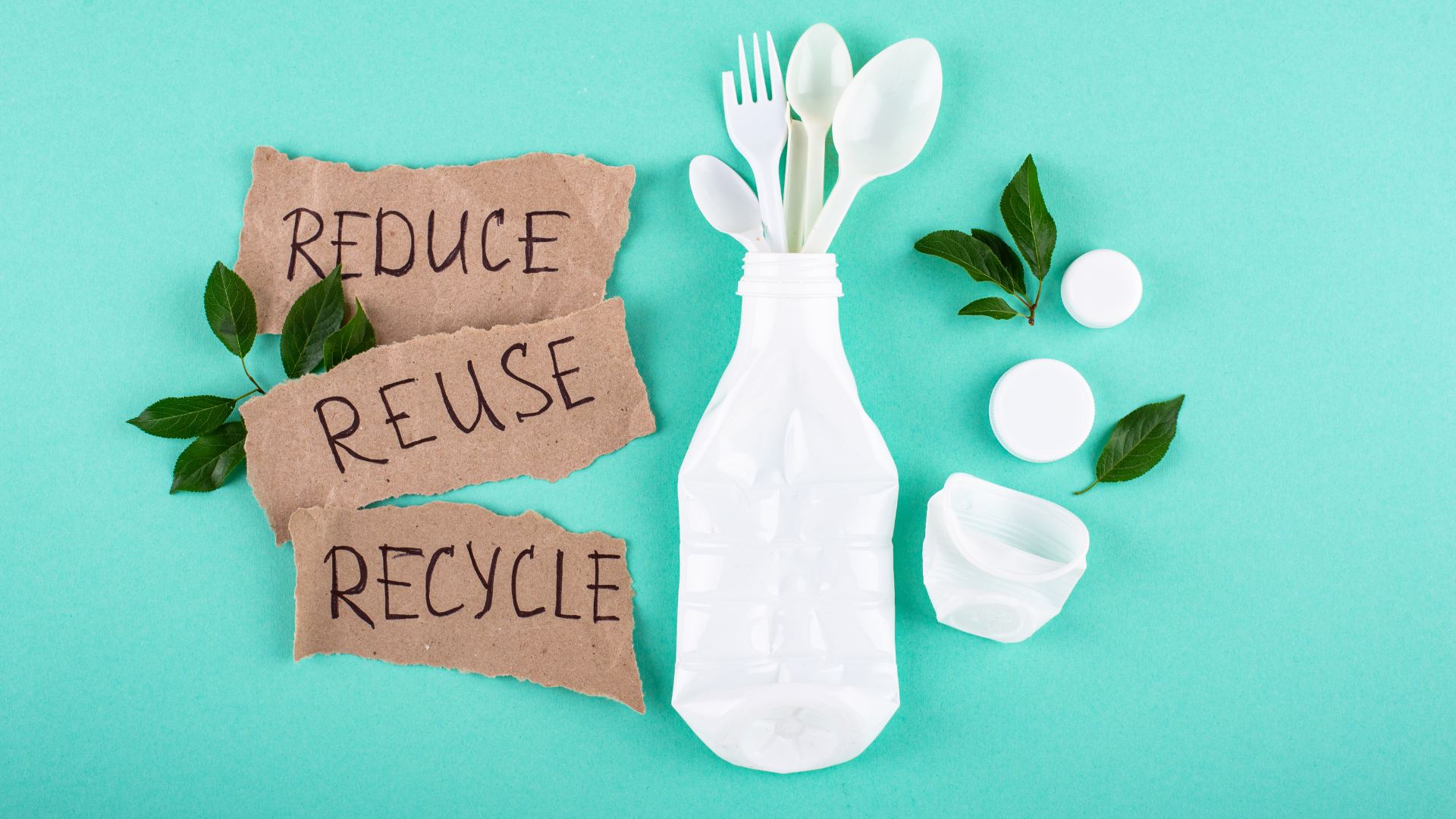 Los hitos clave del Reglamento Europeo de Envases (PPWR): el calendario esencial para recicladores y fabricantes de plásticos